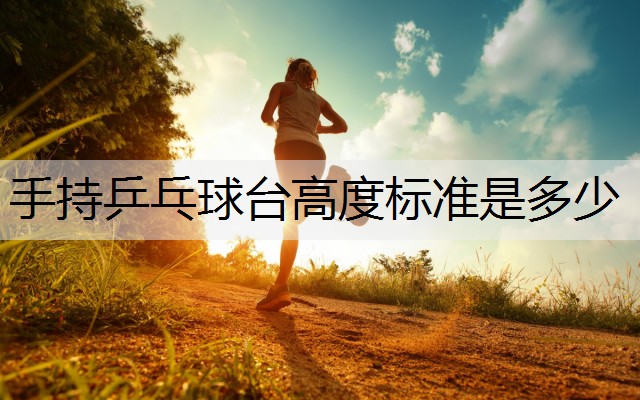 手持乒乓球台高度标准是多少