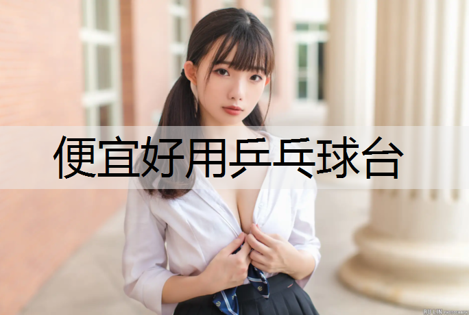 便宜好用乒乓球台