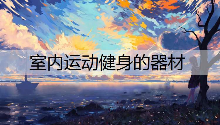 室内运动健身的器材