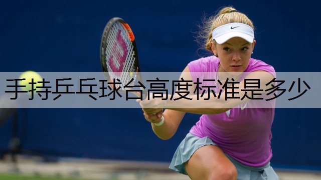 手持乒乓球台高度标准是多少