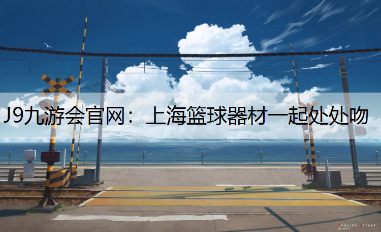 上海篮球器材一起处处吻