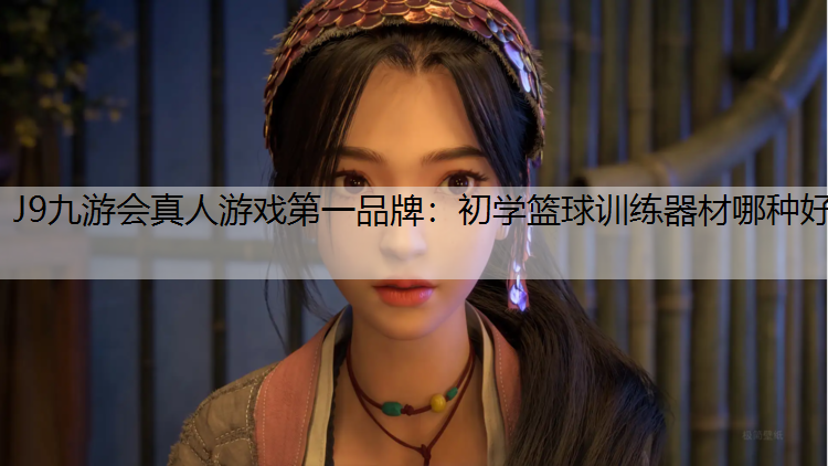 初学篮球训练器材哪种好